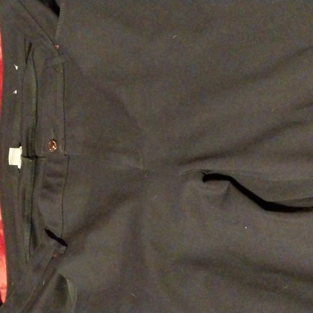Chico navy pants size 20